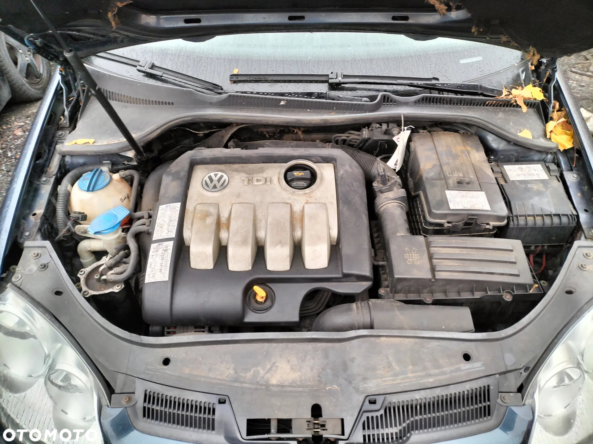 DRZWI PRAWE LEWE PRZÓD TYŁ VW GOLF V 1.9 TDI 105 KM BKC 03-09r - 13