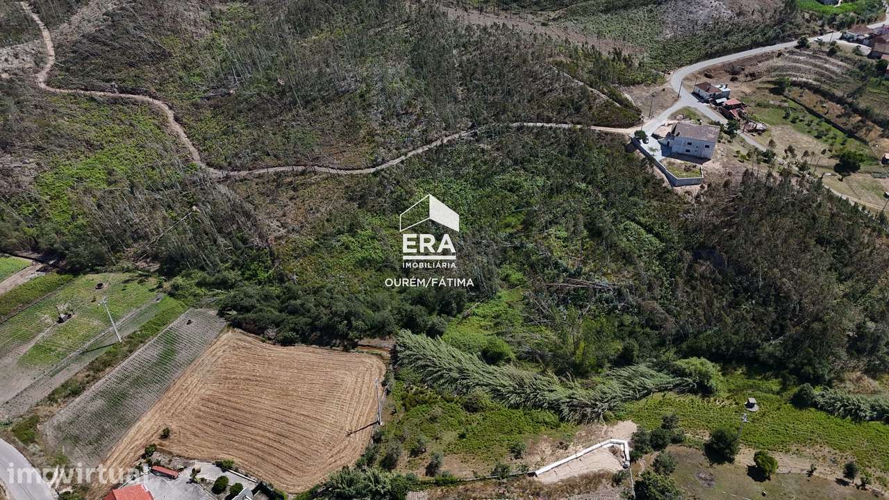 Terreno Florestal em Matas, Ourém - Grande imagem: 2/16