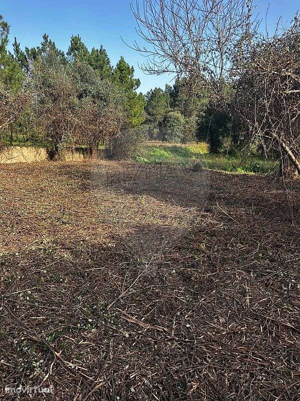 Moradia T0 para venda - Grande imagem: 4/5