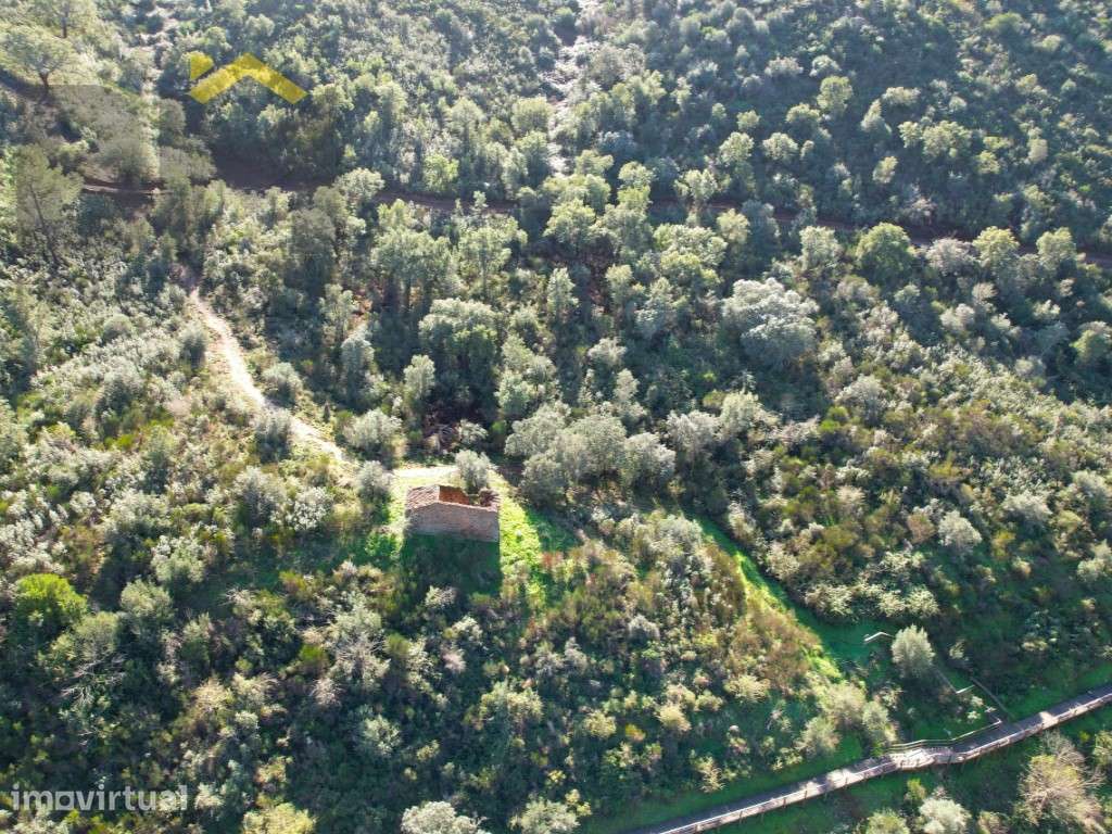 Terreno de 16,75hectares com ruina | Junto ao Rio Tejo - Grande imagem: 4/14
