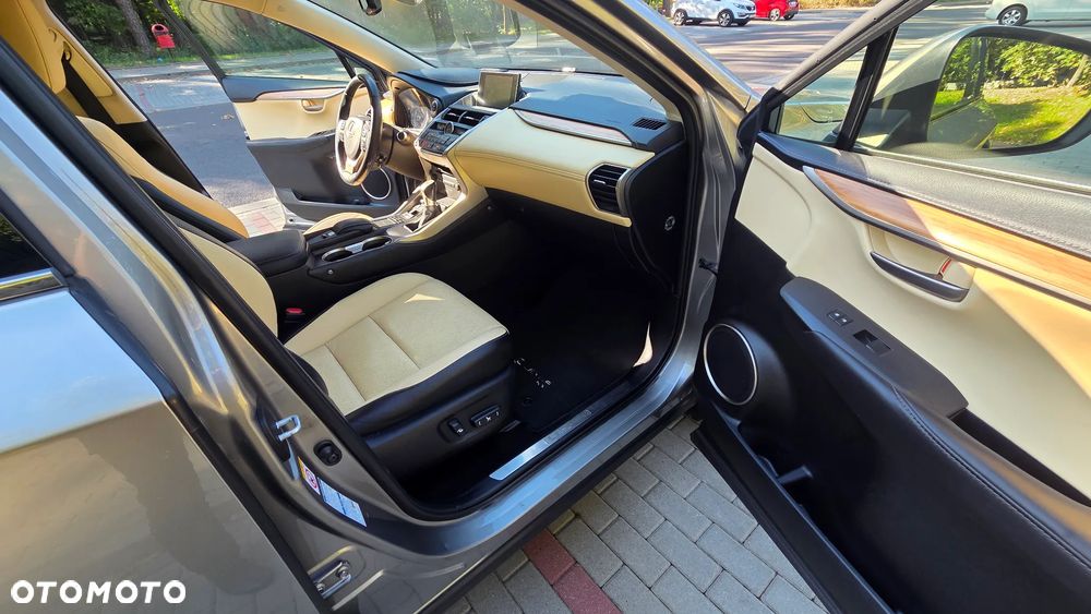 Lexus NX - 31