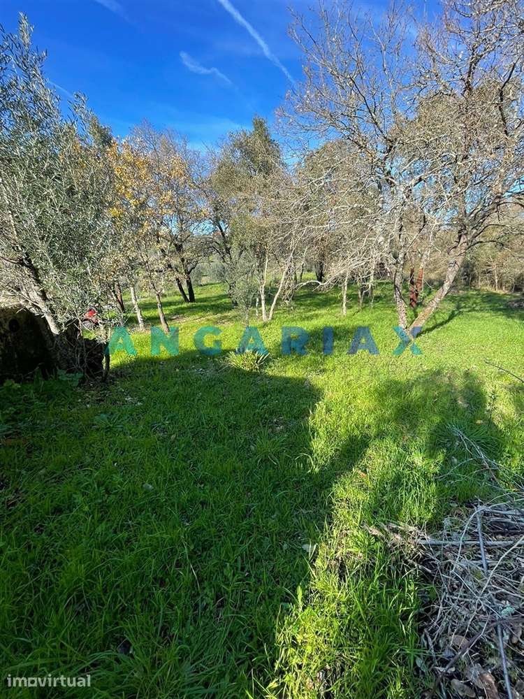 ANG1540 - Terreno para Venda em Alviobeira, Tomar - Grande imagem: 3/5