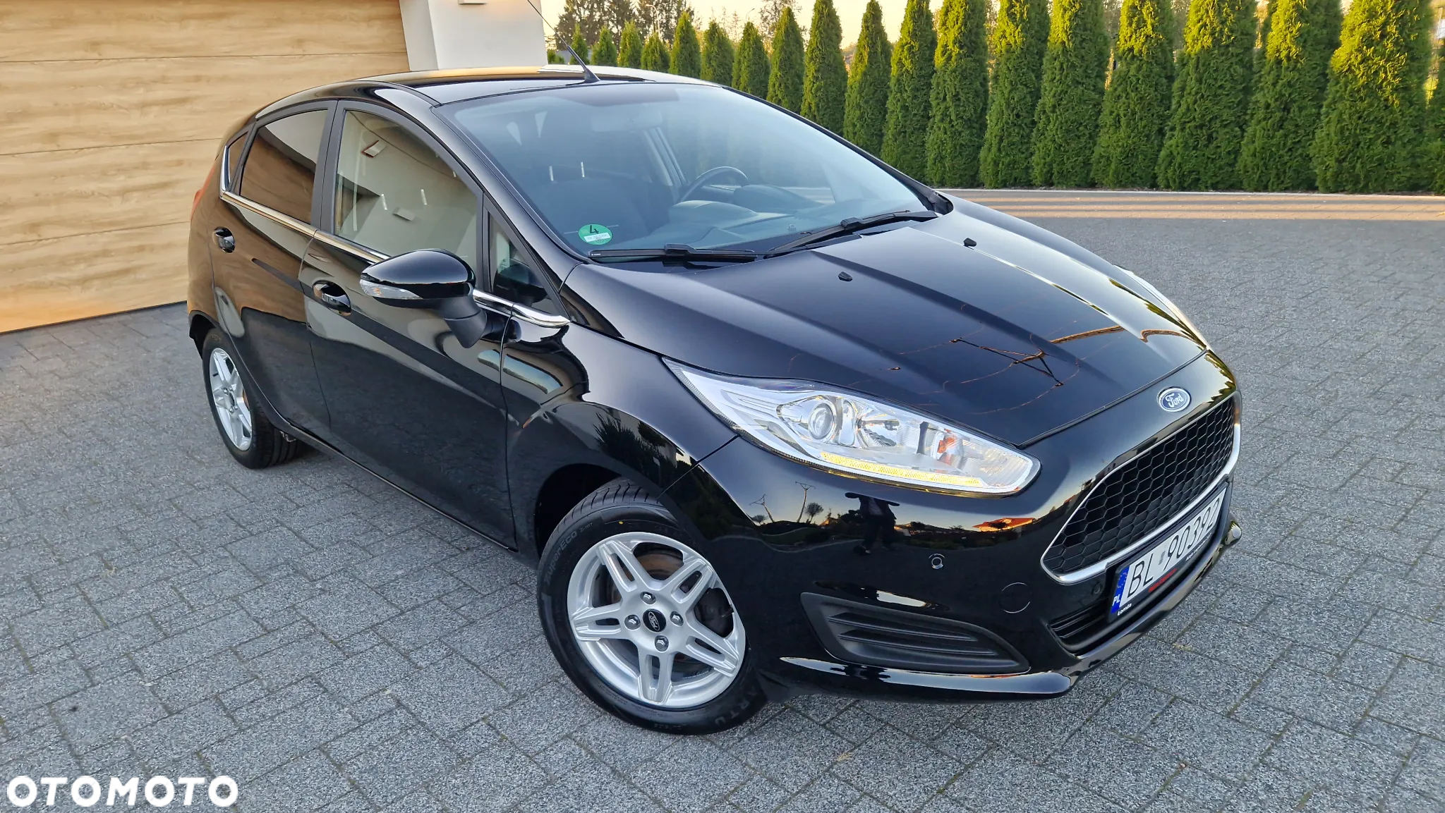 Ford Fiesta 1.0 EcoBoost Titanium - 25