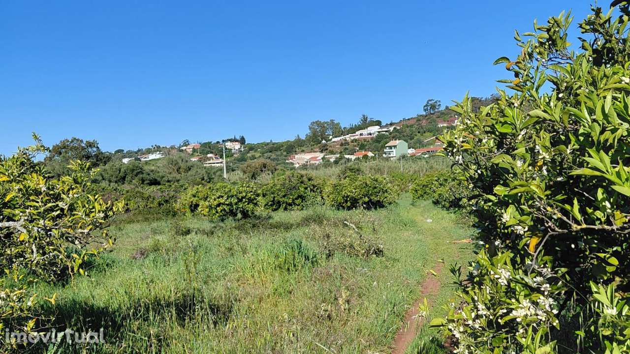 Terreno Misto com Ruína em São Bartolomeu de Messines - Grande imagem: 4/21