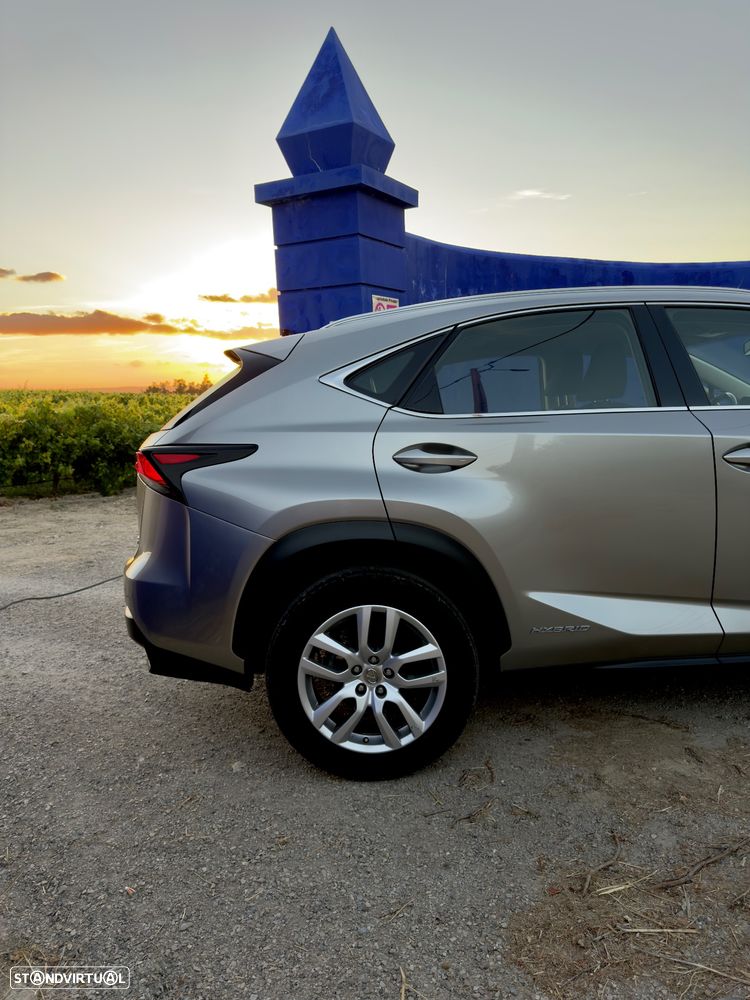 Lexus NX 300h - 6