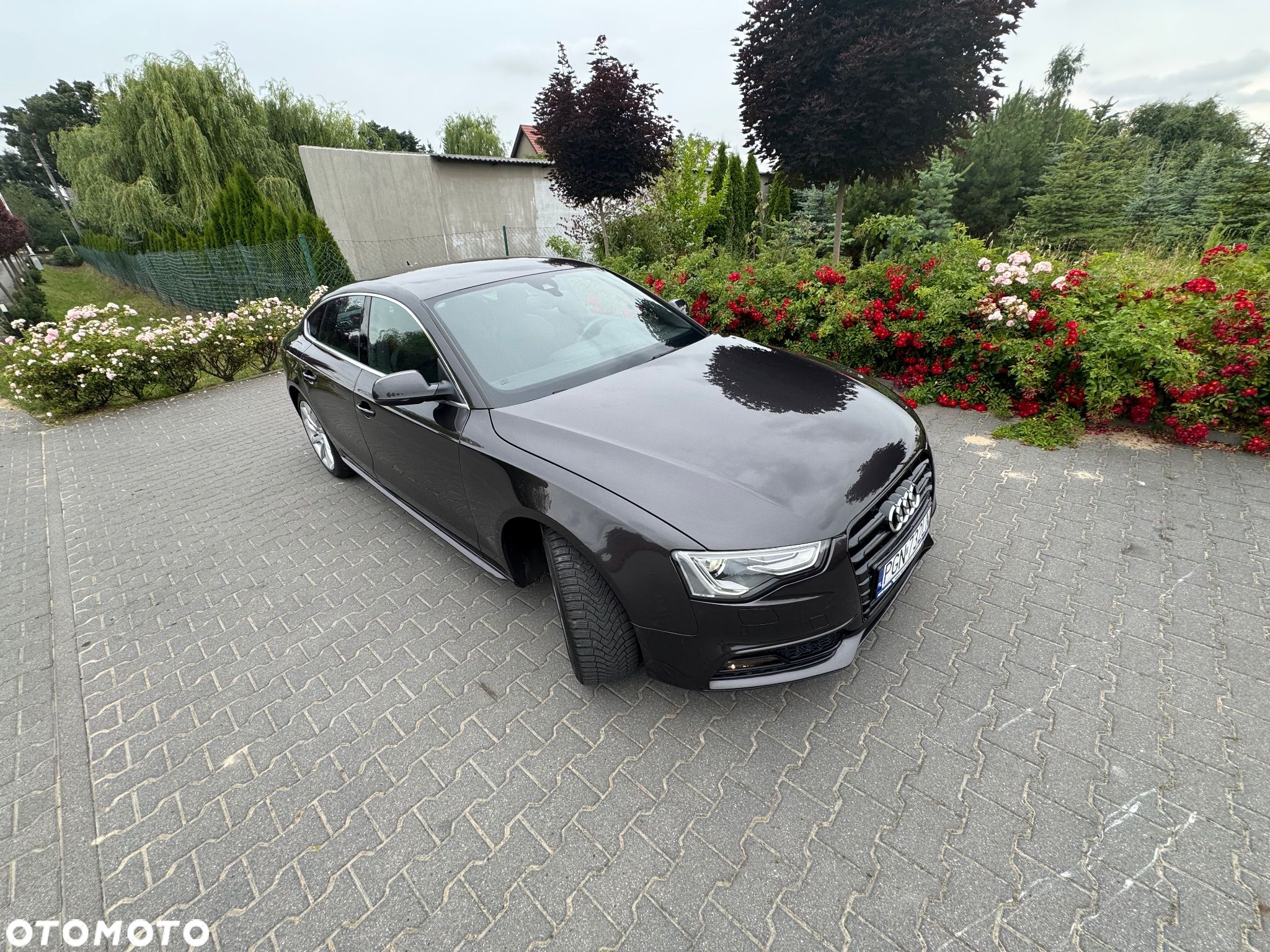 Audi A5 2.0 TDI Sportback quattro DPF S tronic - 1
