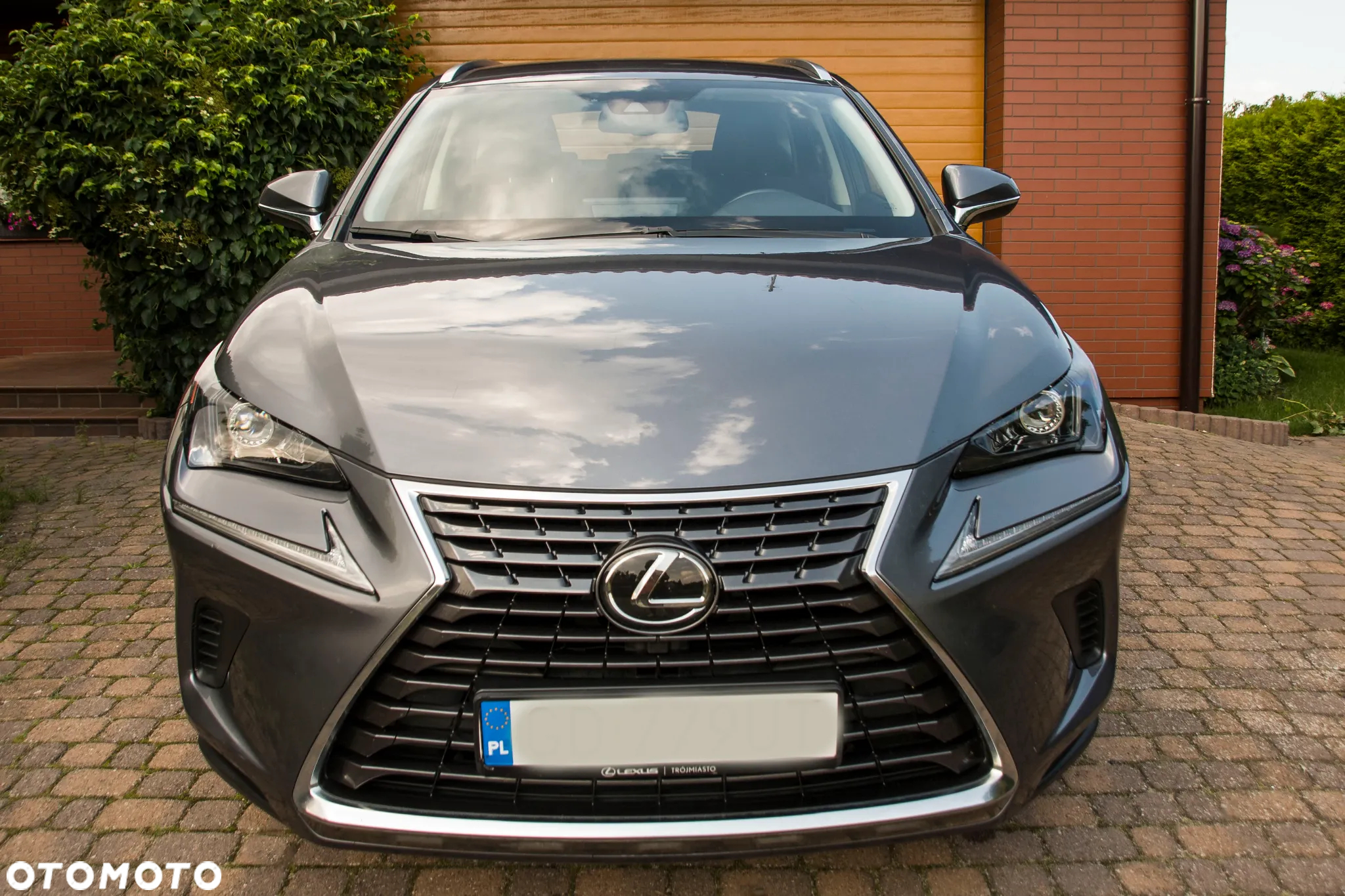 Lexus NX 300 Elegance Optimum AWD - 6