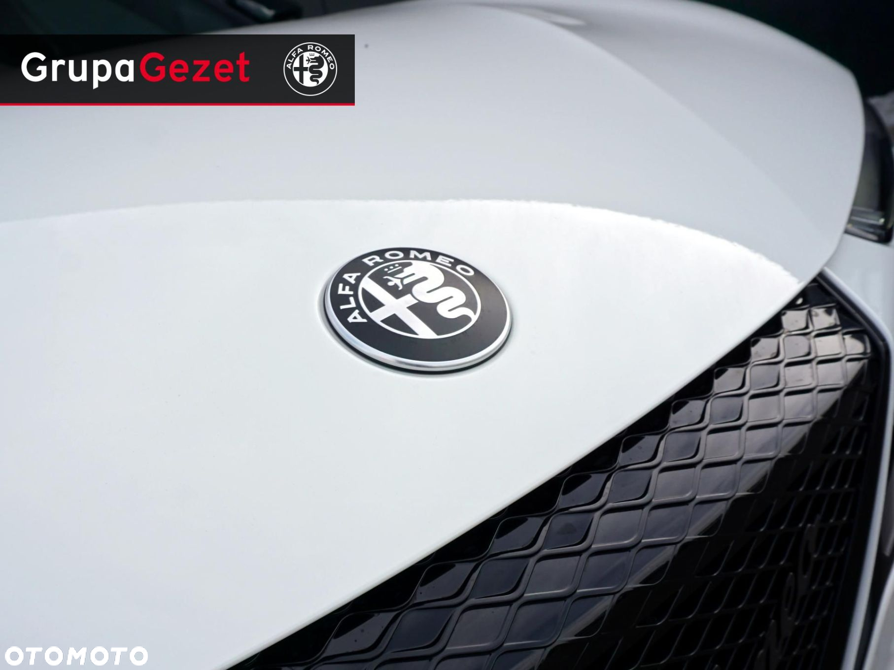 Alfa Romeo Junior - 18