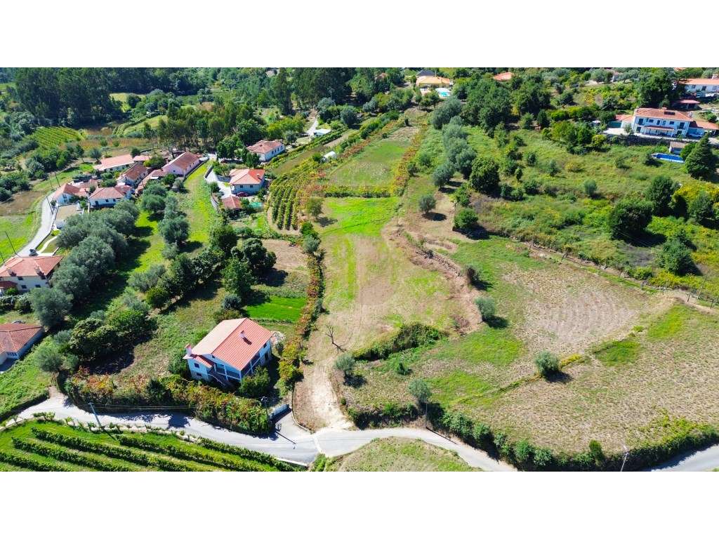 Terreno 2955m² c/ Estudo Prévio | Calheiros, Ponte de Lima - Grande imagem: 5/14