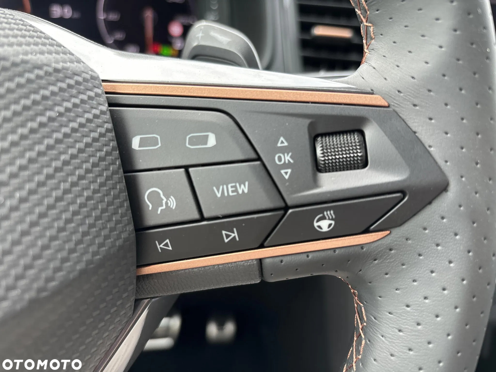 Cupra Ateca 1.5 TSI DSG - 24
