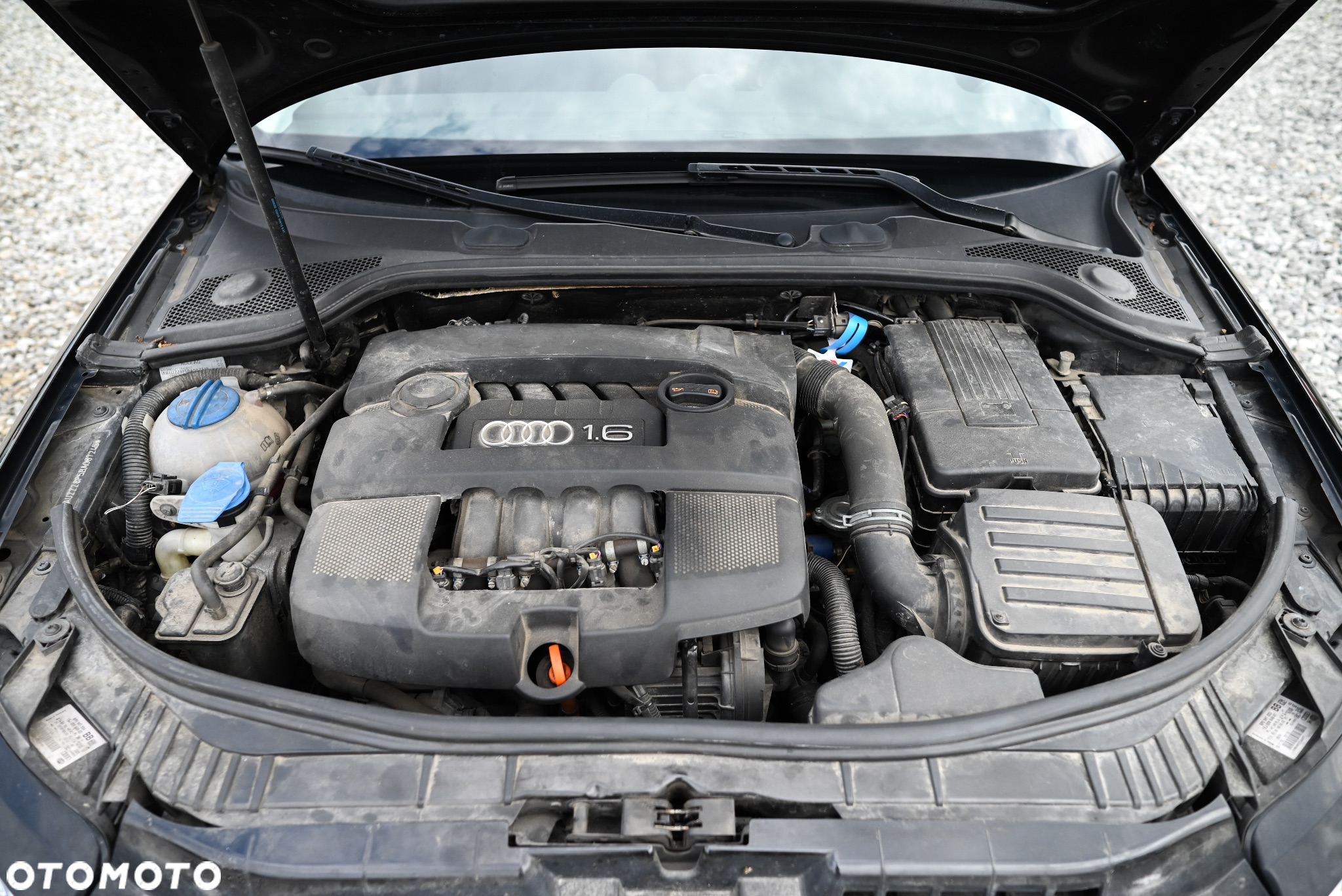 Audi A3 - 17