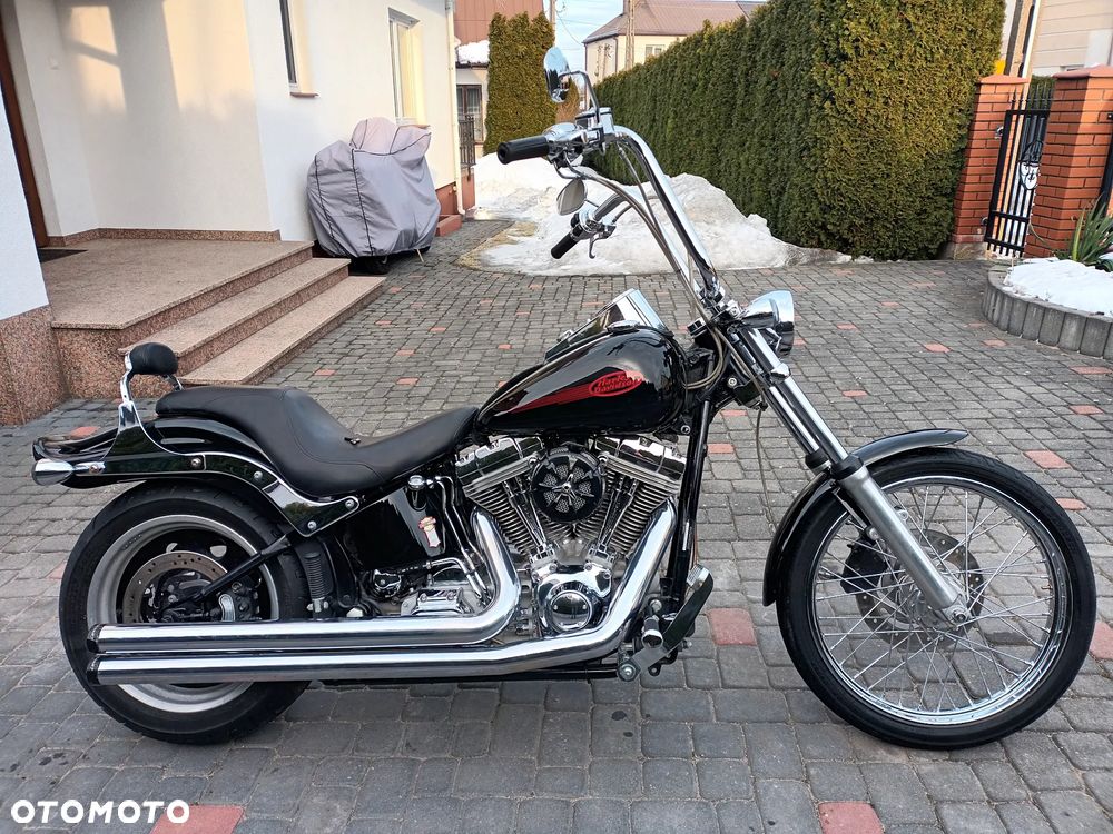 Harley-Davidson Softail Standard - 15