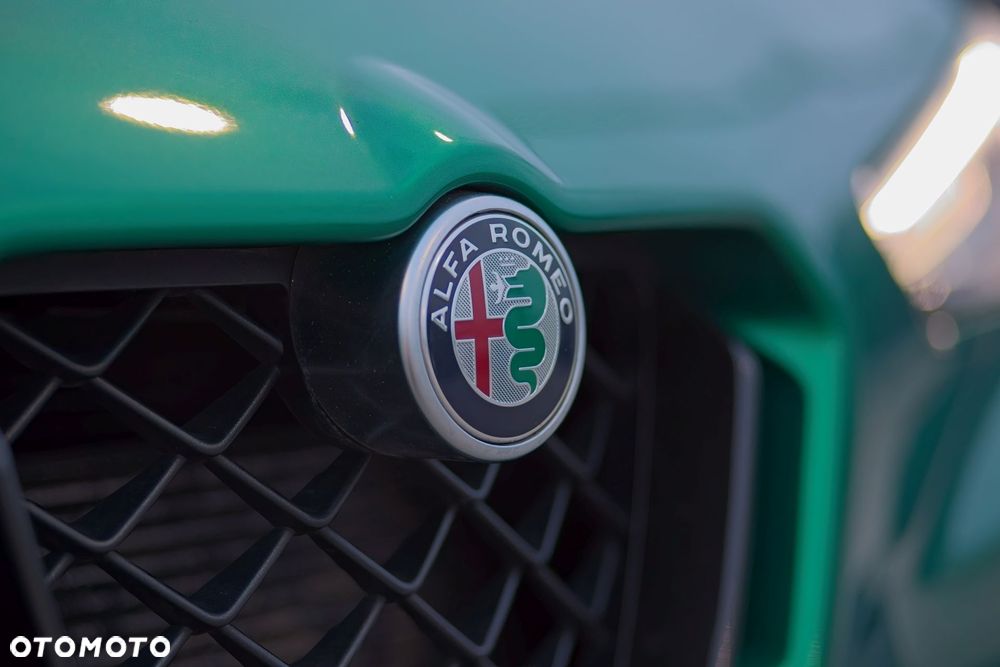 Alfa Romeo Stelvio 2.9 V6 Bi-Turbo Quadrifoglio Q4 - 15