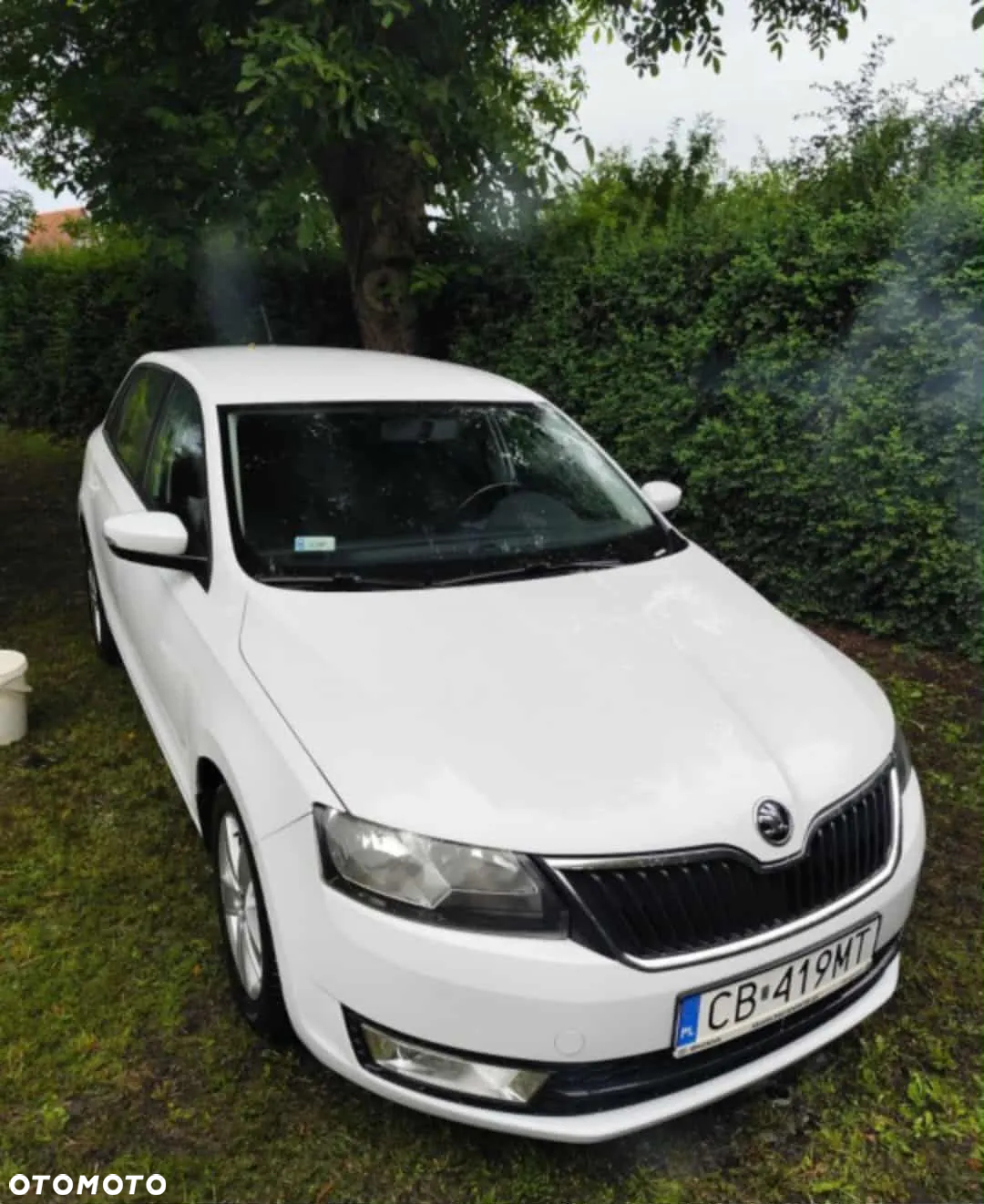 Skoda RAPID - 6