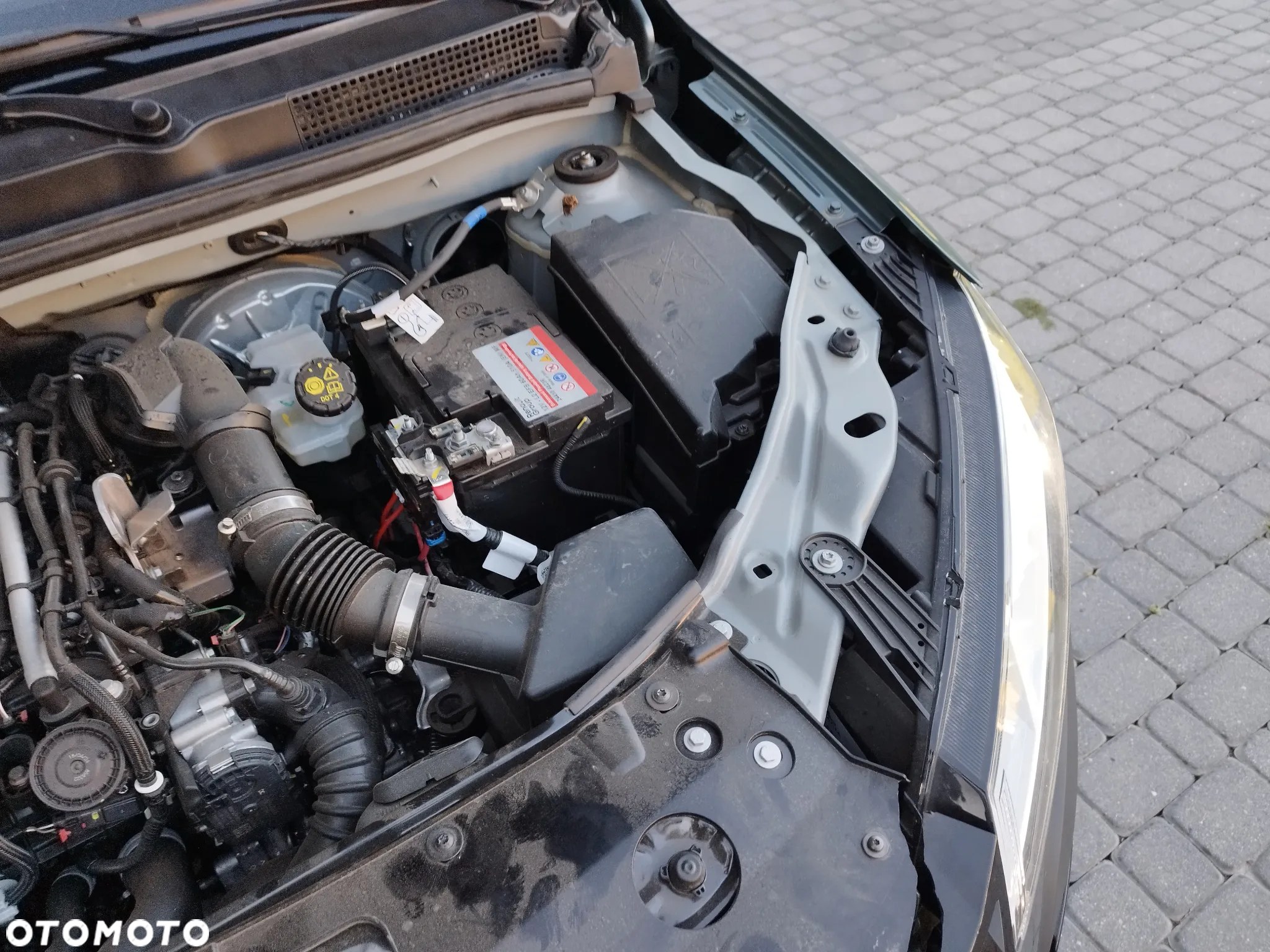 Dacia Jogger TCe 110 (7-Sitzer) Expression - 14