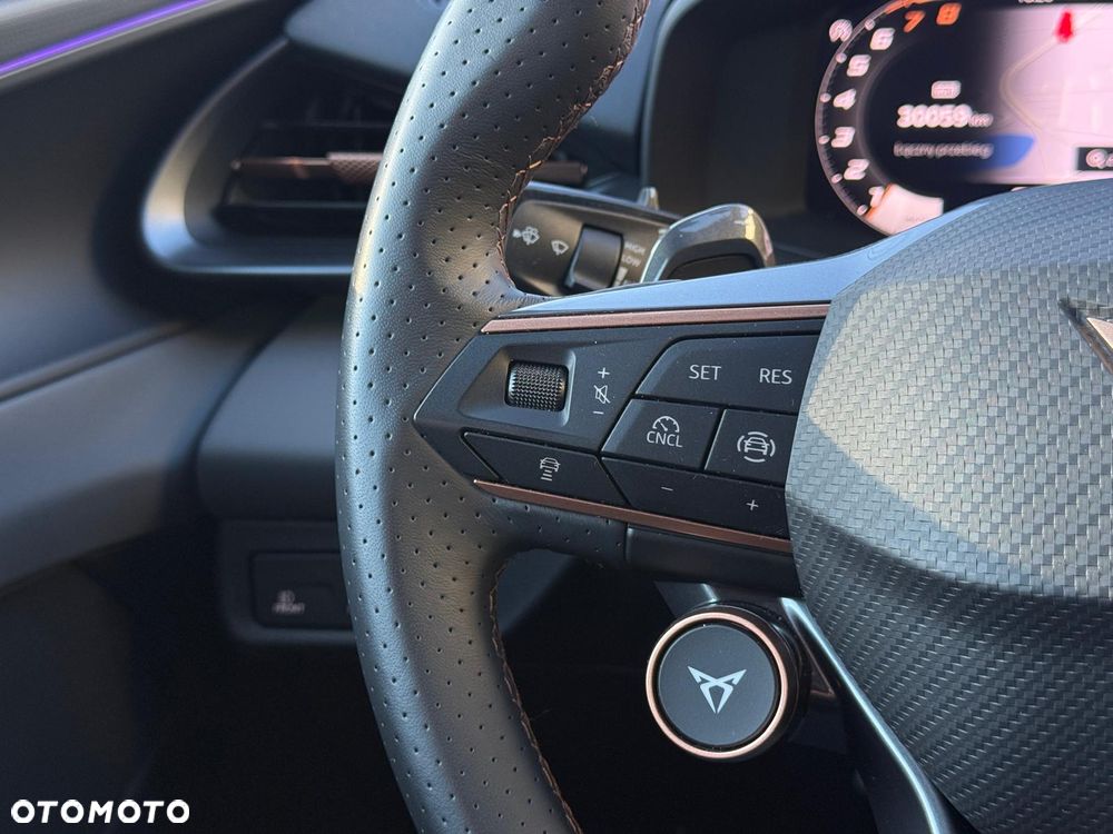 Cupra Terramar 1.5 eTSI DSG Tribe Edition - 30