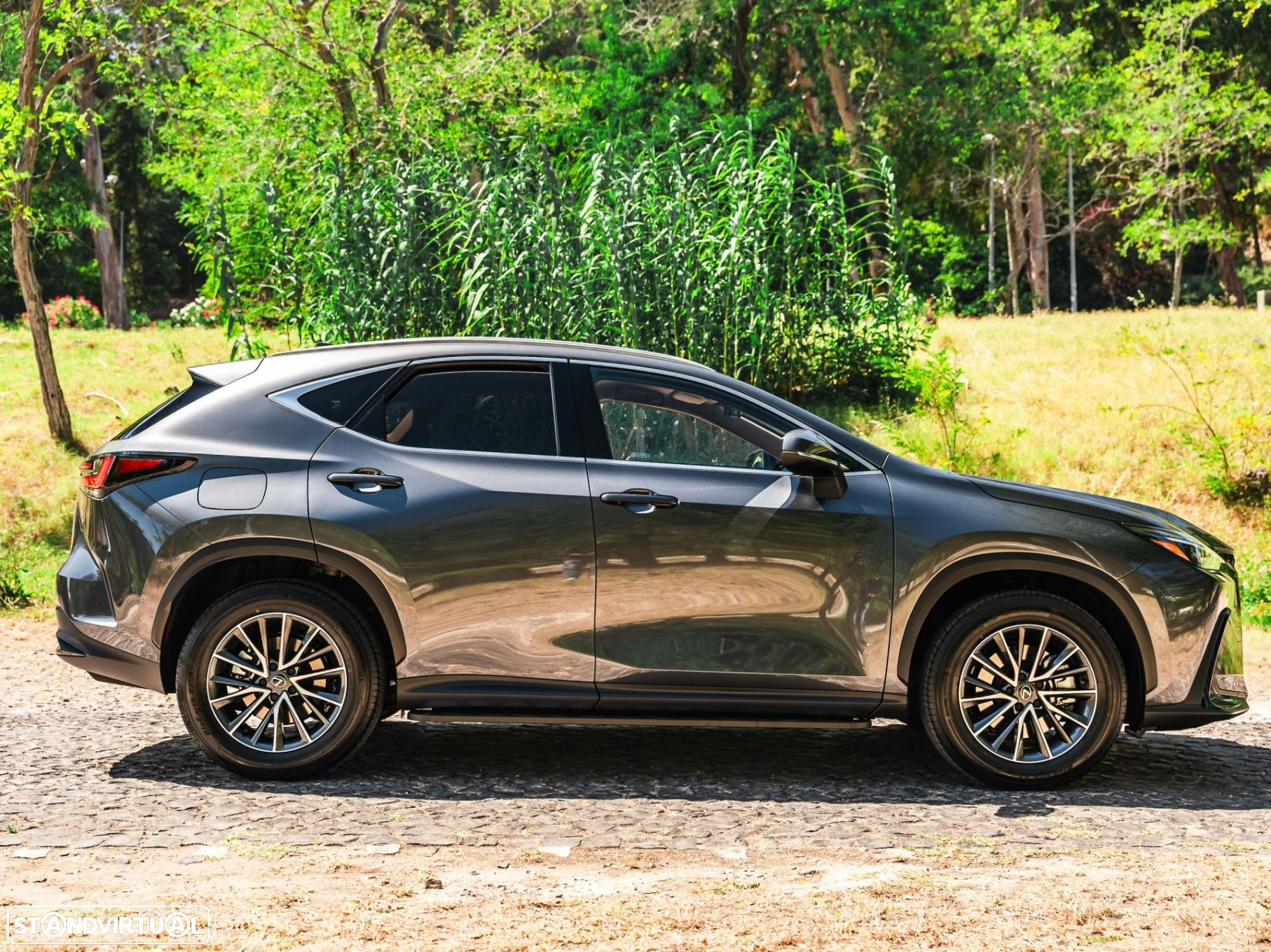 Lexus NX 450h+ - 17