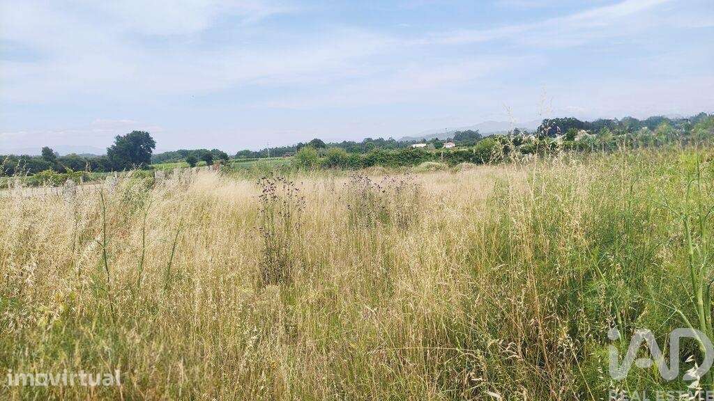 Terreno Agrícola em Verdoejo - Grande imagem: 5/13