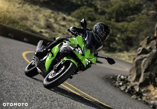 Kawasaki Ninja - 10