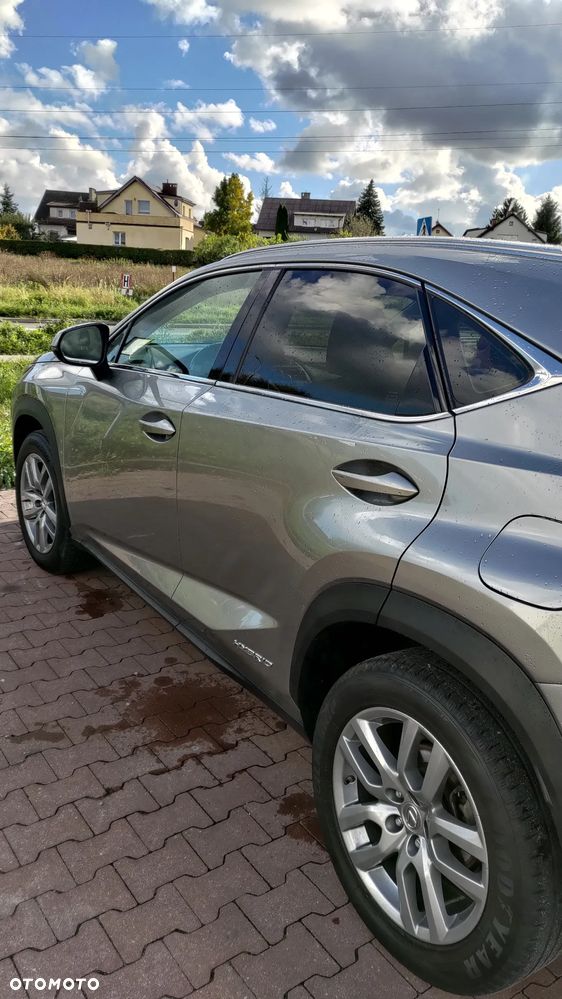 Lexus NX - 28