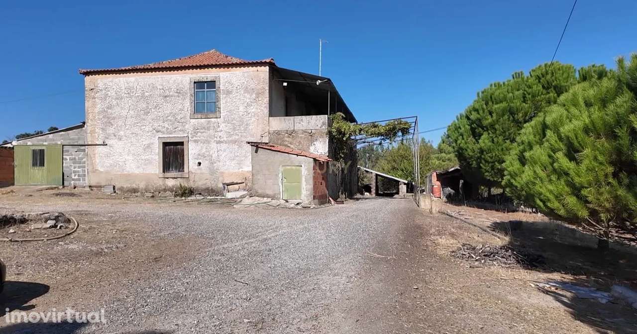 Oportunidade! Quinta S. Bartolomeu, Castelo Branco - Grande imagem: 4/20