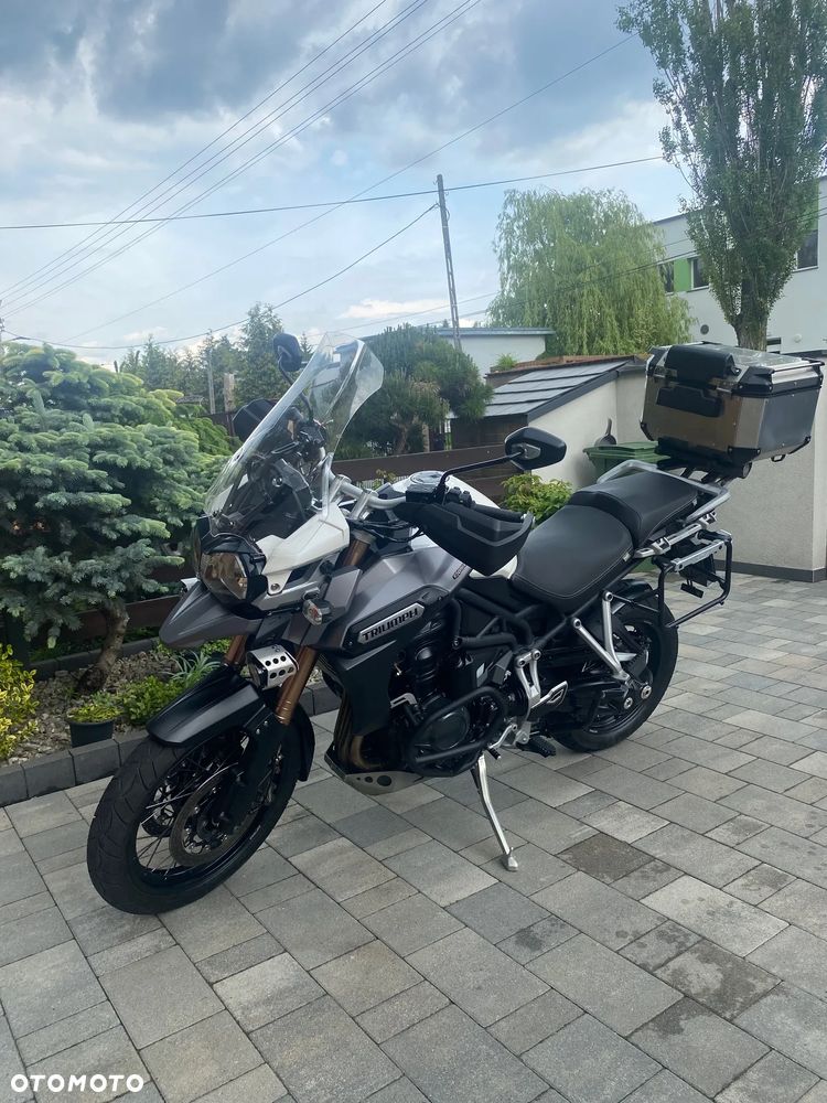 Triumph Tiger - 5