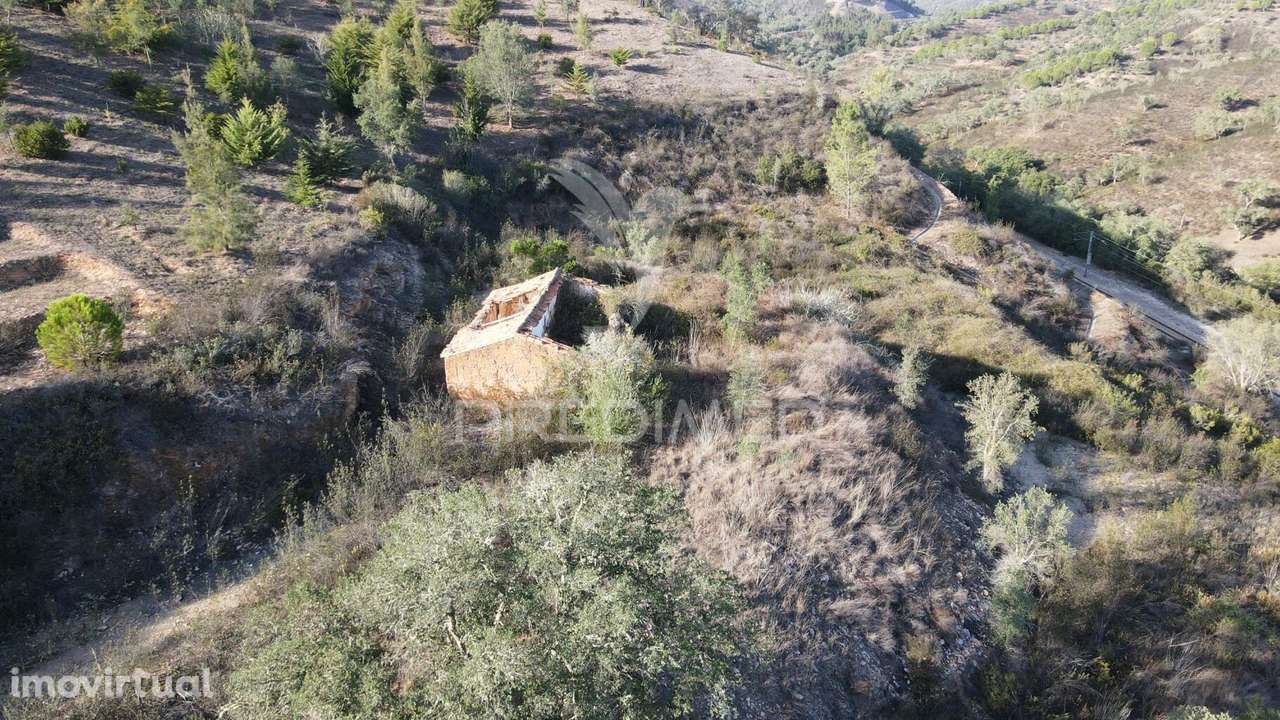 Quinta com 1,0250 ha e uma ruína em Luzianes Gare - Grande imagem: 4/19