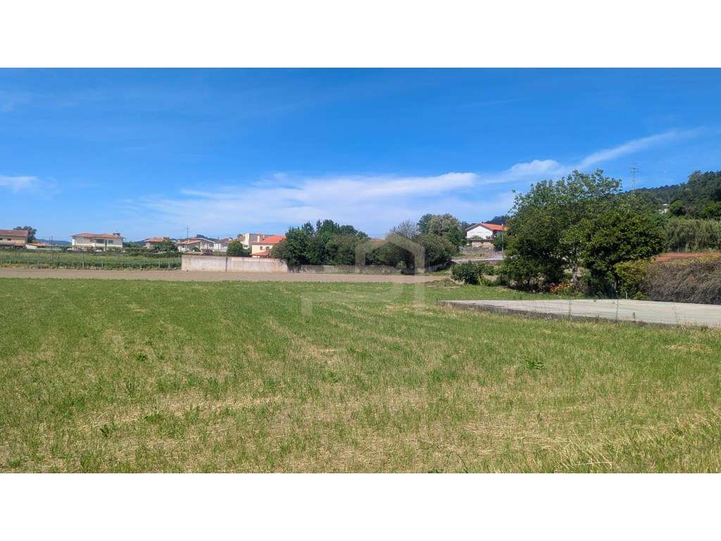 Terreno de construção na freguesia de Telhado - Grande imagem: 5/7