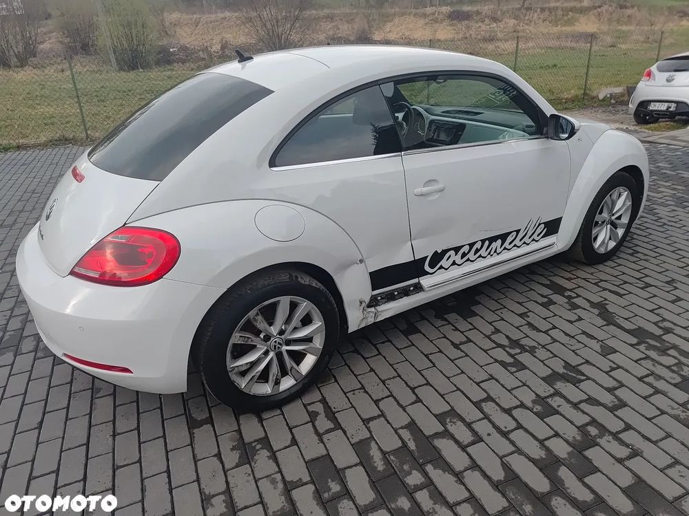 Volkswagen Beetle - 16