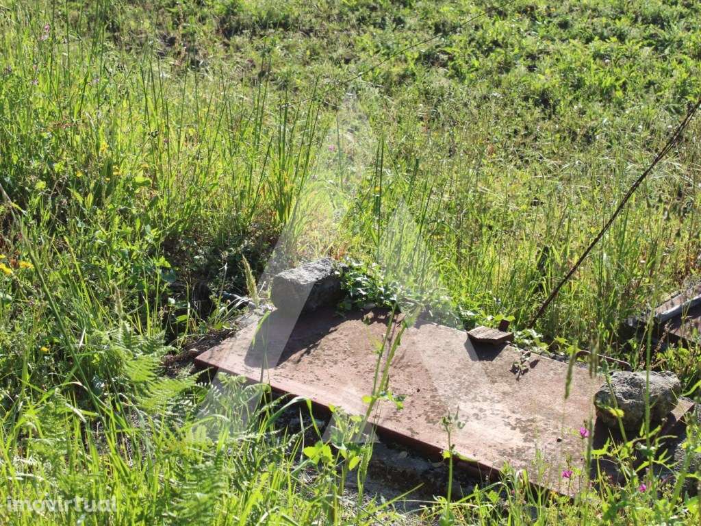 Terreno para construção em Paradela - Sever do Vouga - Grande imagem: 5/10