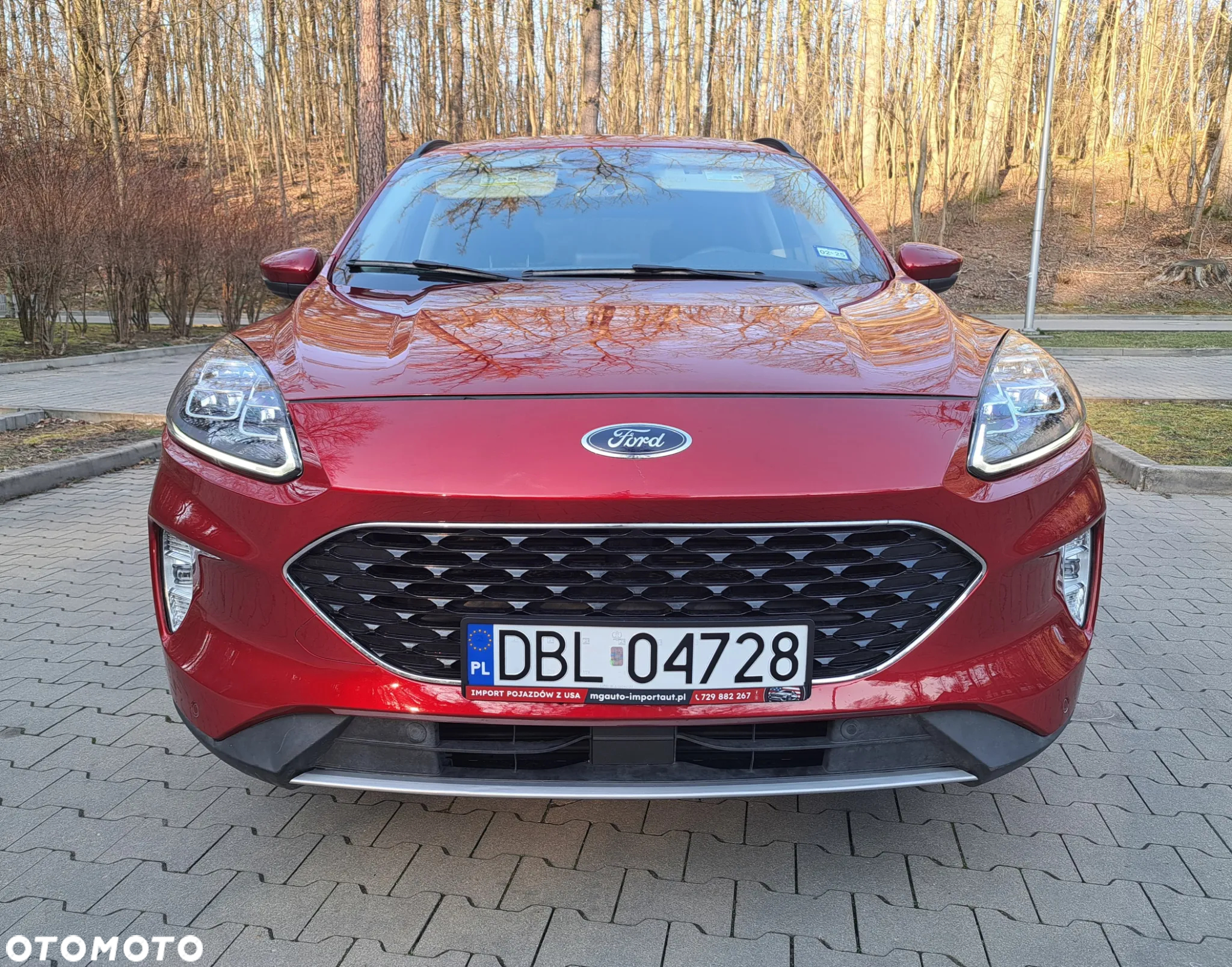 Ford Escape - 6