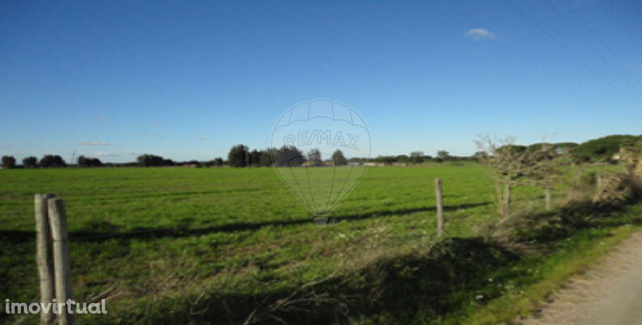 Terreno  para venda - Grande imagem: 2/8