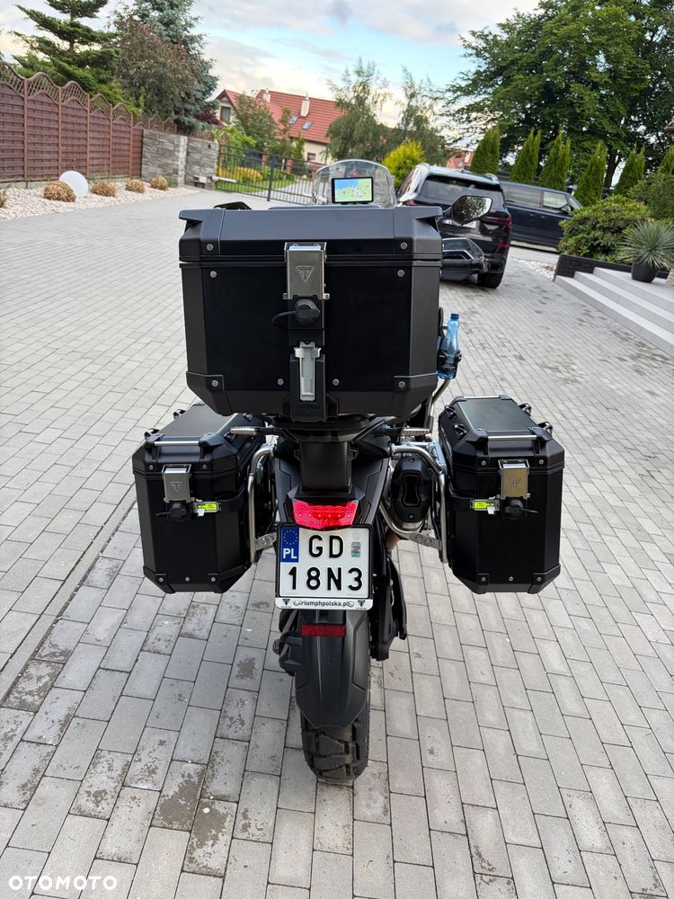 Triumph Tiger - 4