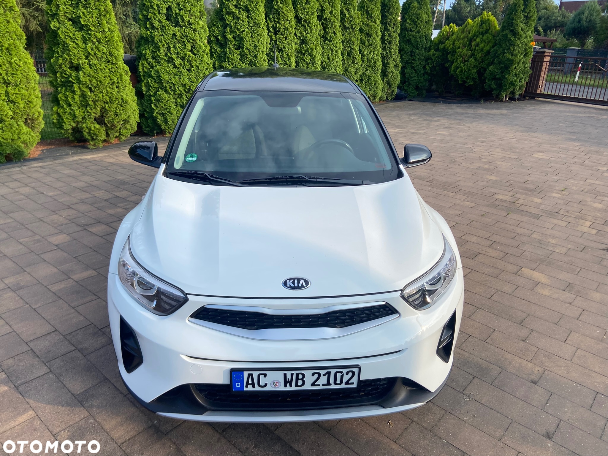 Kia Stonic 1.2 Spirit - 8