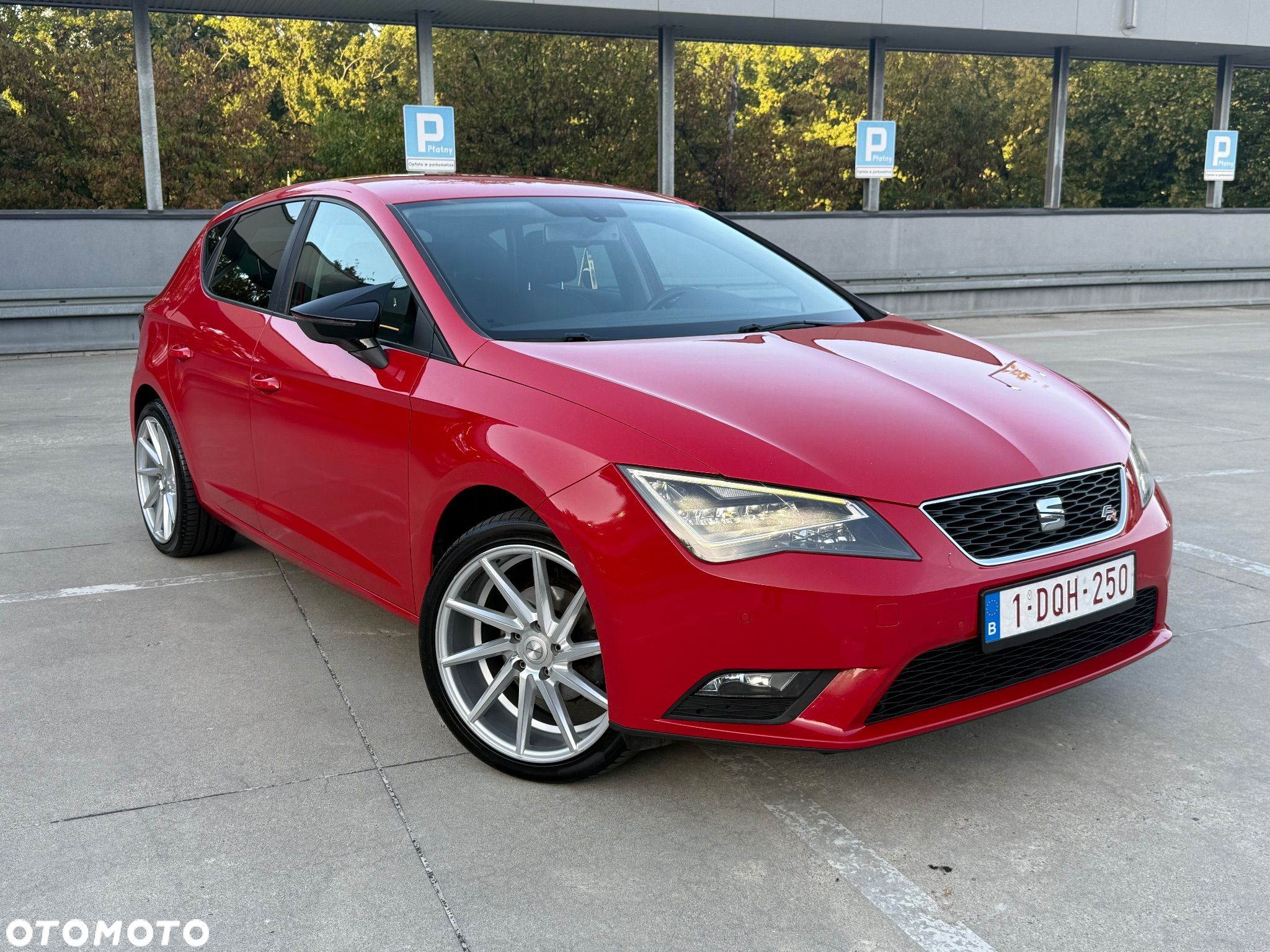 Seat Leon - 1