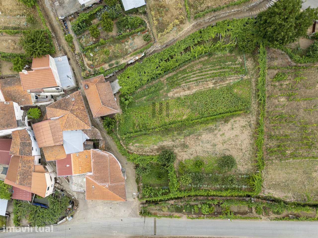 TERRENO RUSTICO | 1400m2 Planos | Salzedas - Grande imagem: 4/7