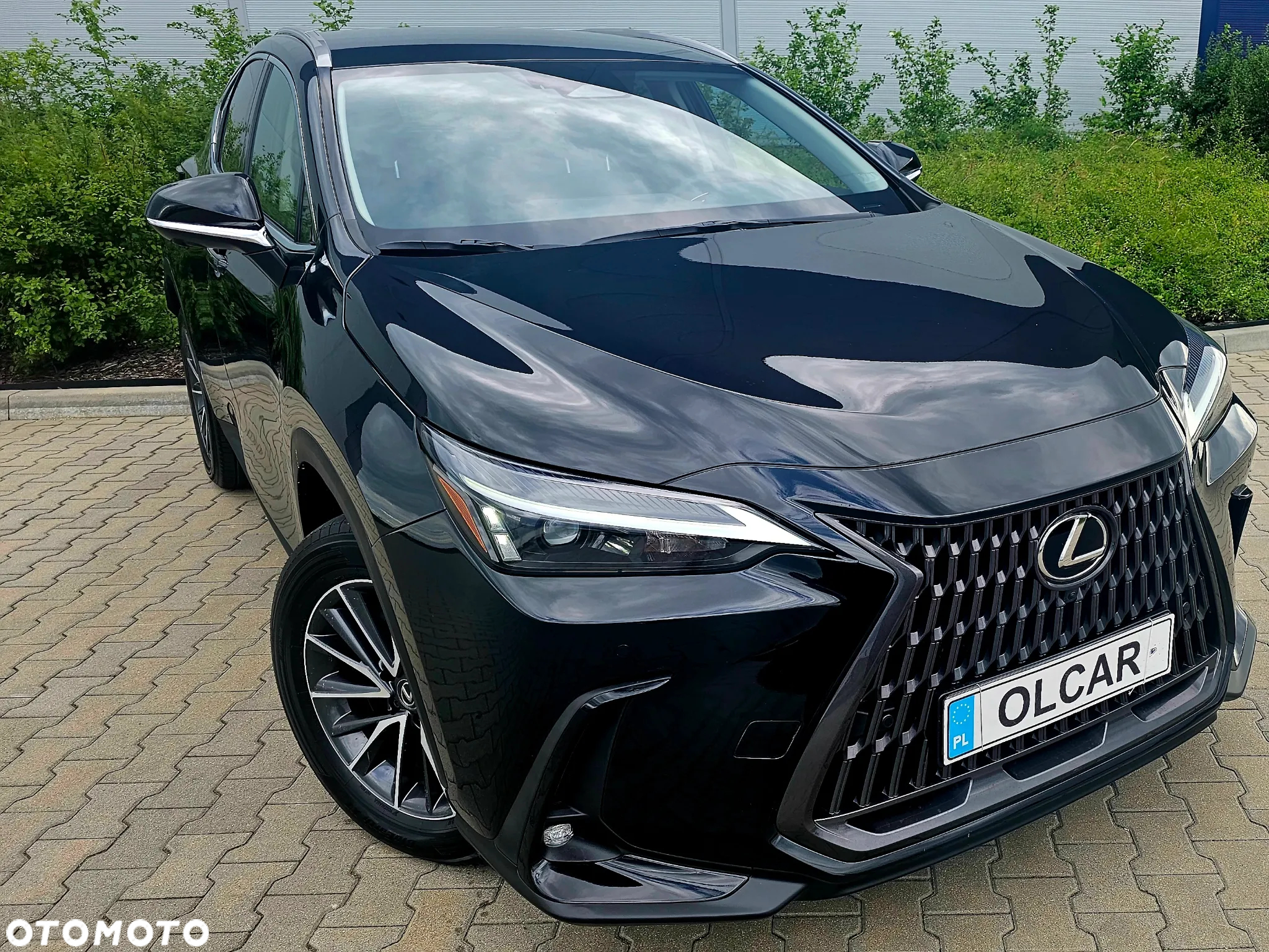 Lexus NX 450h+ Overtrail AWD - 5