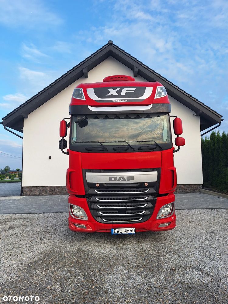DAF - 6