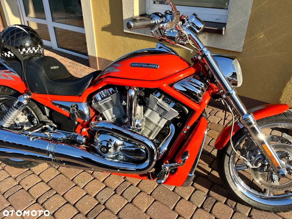 Harley-Davidson Softail V-Rod - 3