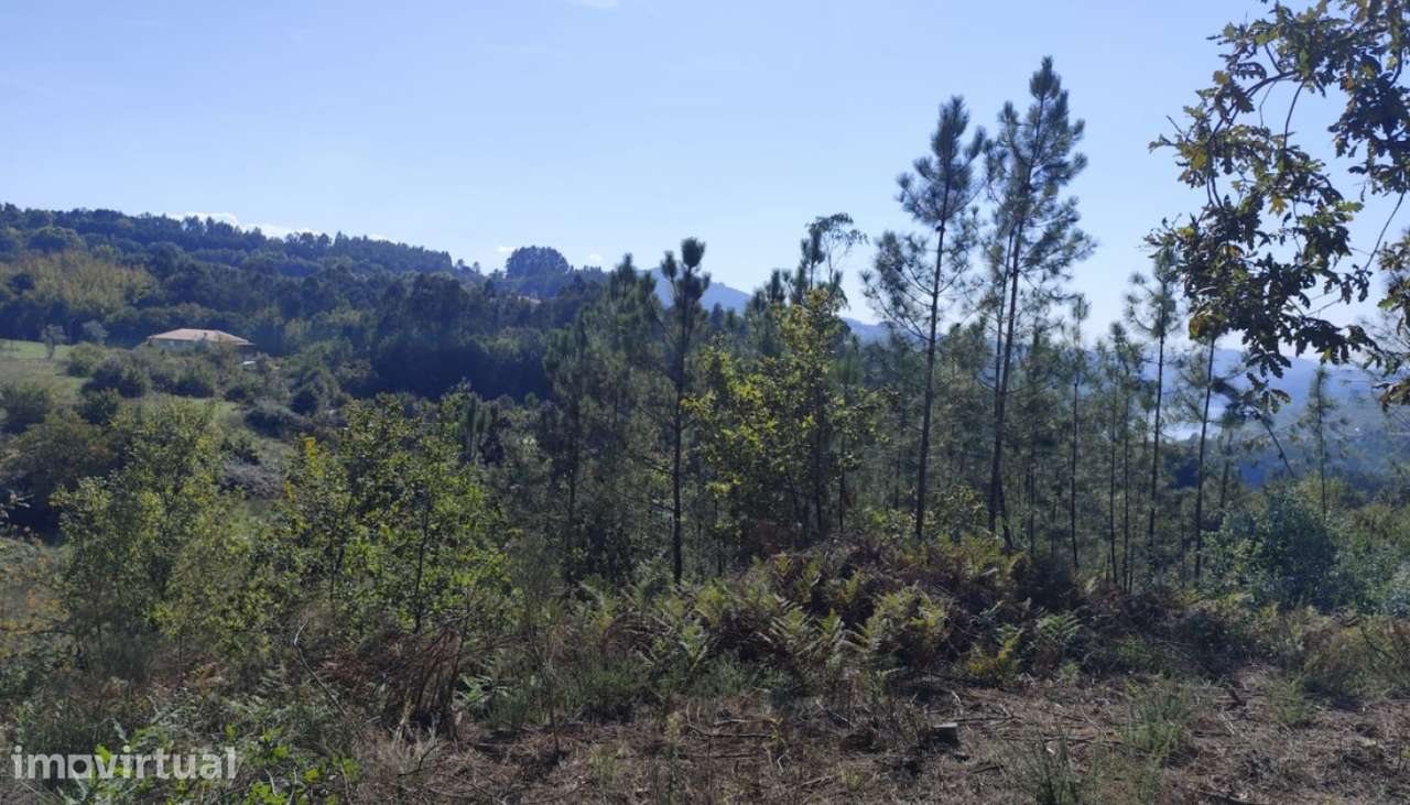 Terreno com 7 hectares em Vila Boa do Bispo, Marco de Canaveses - Grande imagem: 5/26