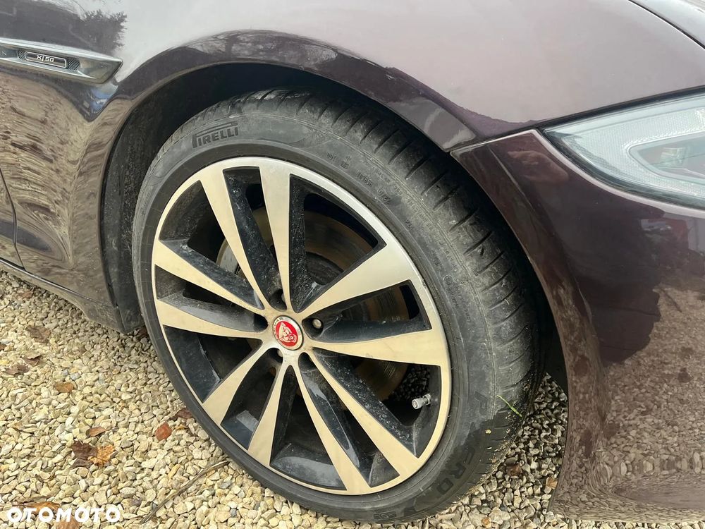 Jaguar XJ 3.0 D V6 XJ50 - 9