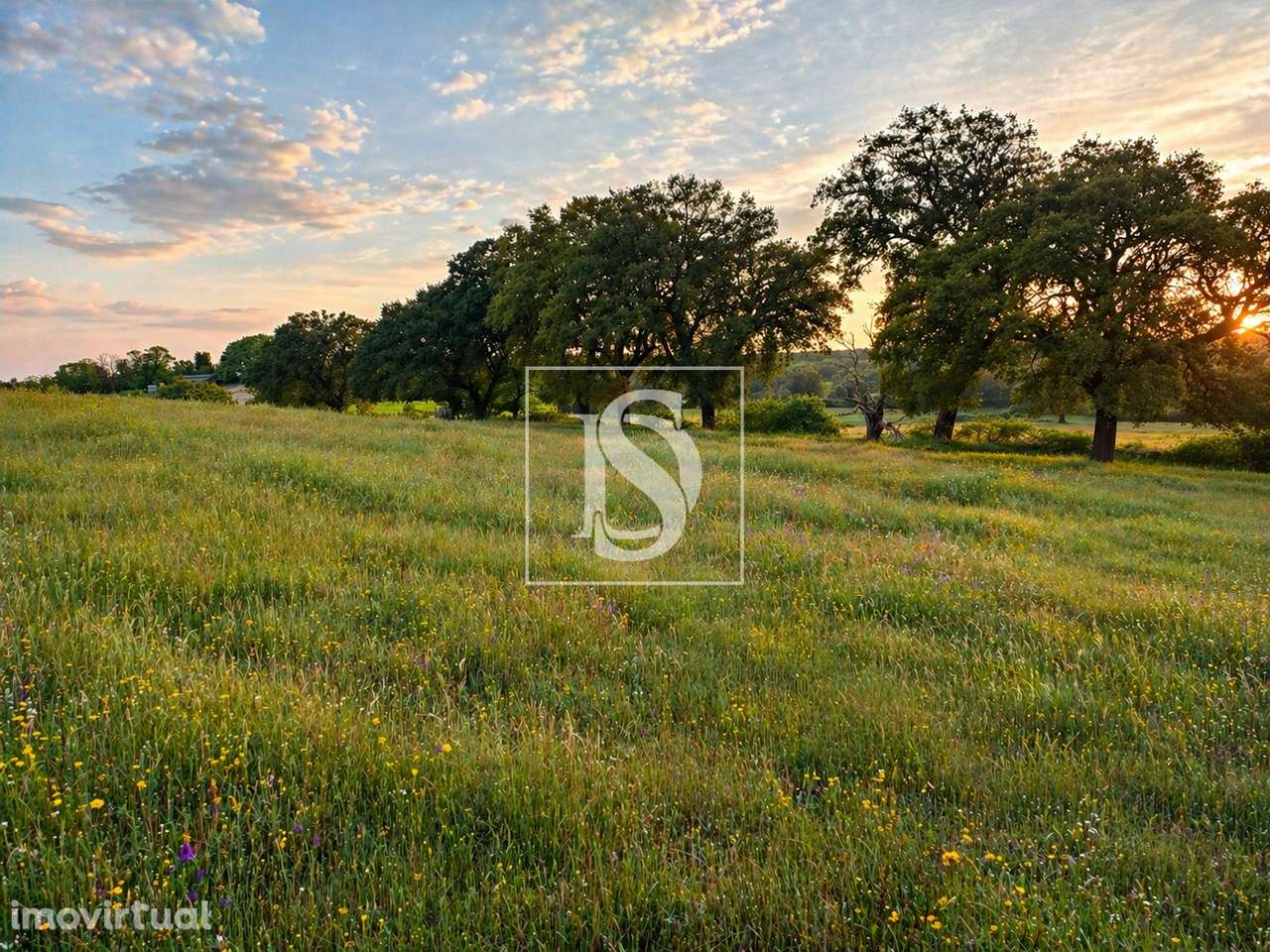 Quinta T4 Venda em São Salvador da Aramenha,Marvão - Grande imagem: 5/20