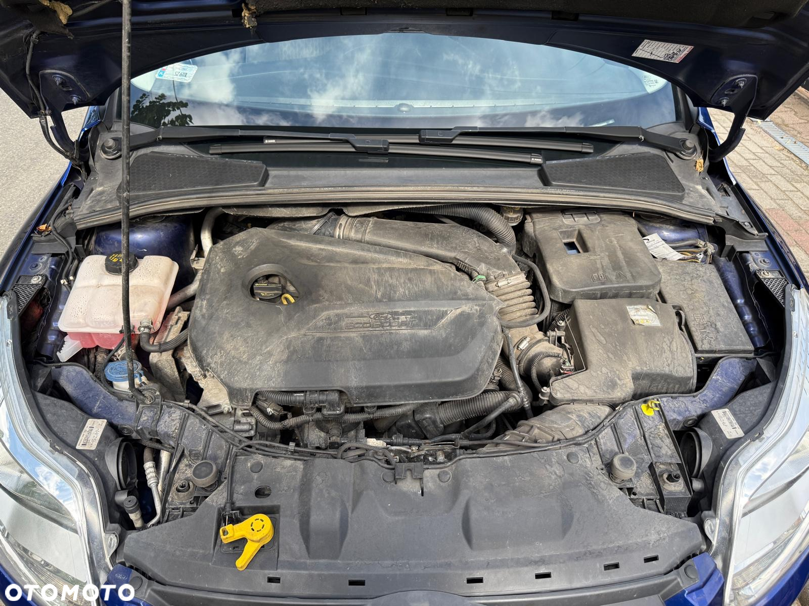 Ford Focus 1.6 EcoBoost Trend - 21