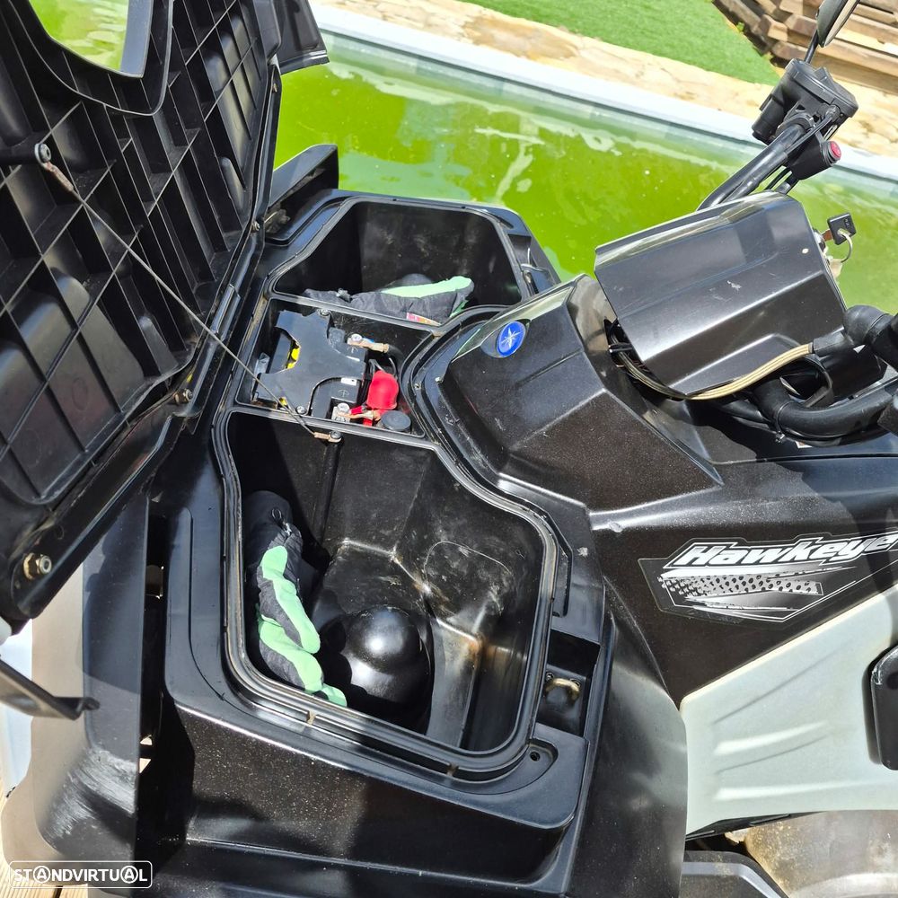 Polaris Hawkeye 300 - 22