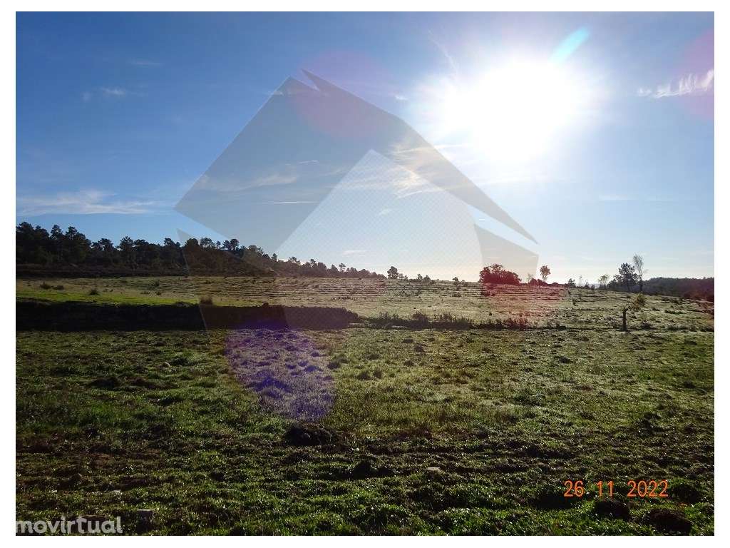 QUINTA AGRICOLA - MÊDA - Grande imagem: 5/46