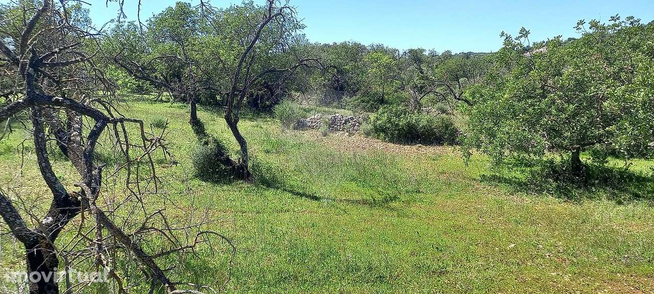 Terreno  para venda - Grande imagem: 4/4