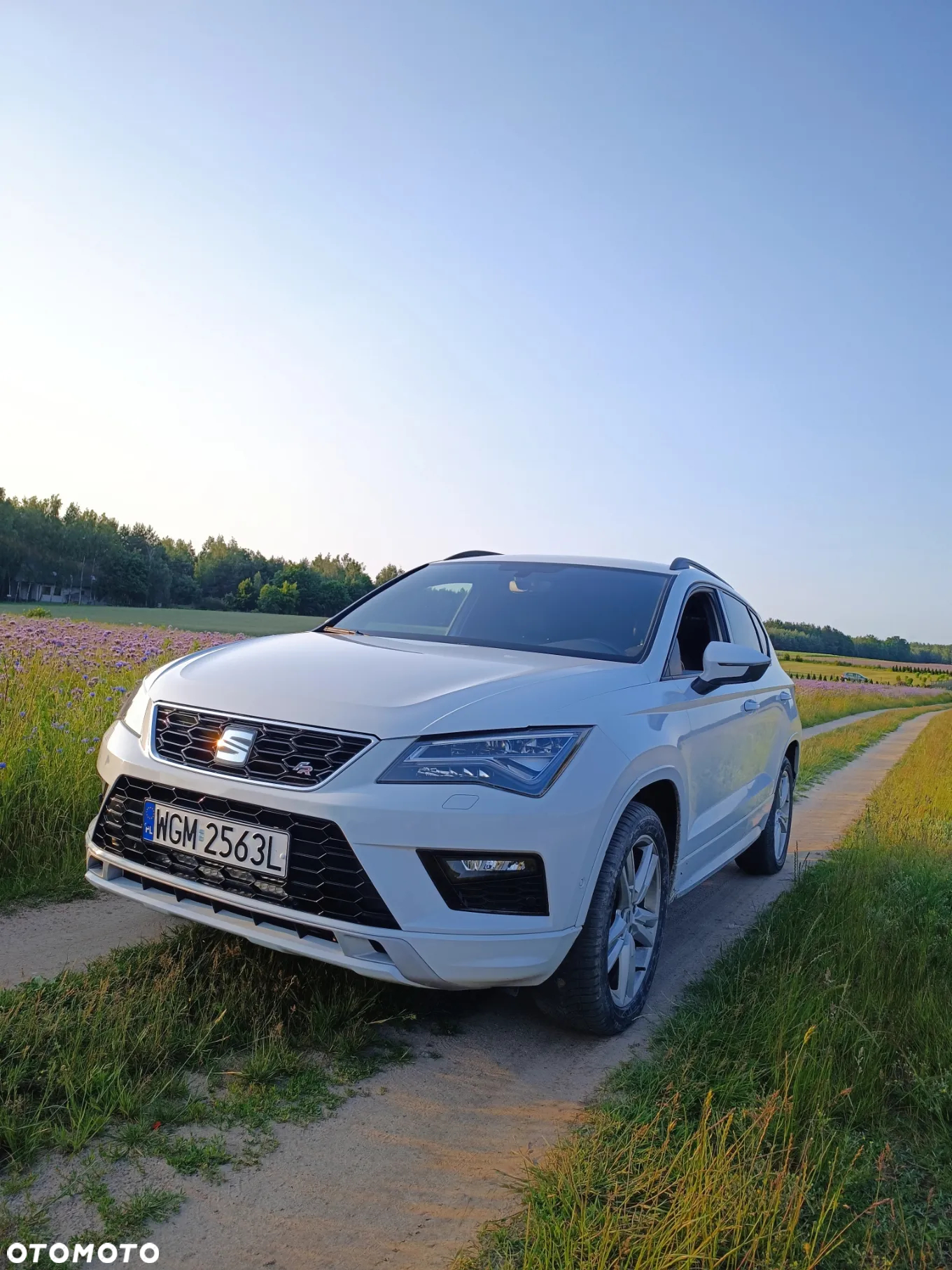 Seat Ateca 2.0 TDI 4Drive DSG FR - 17