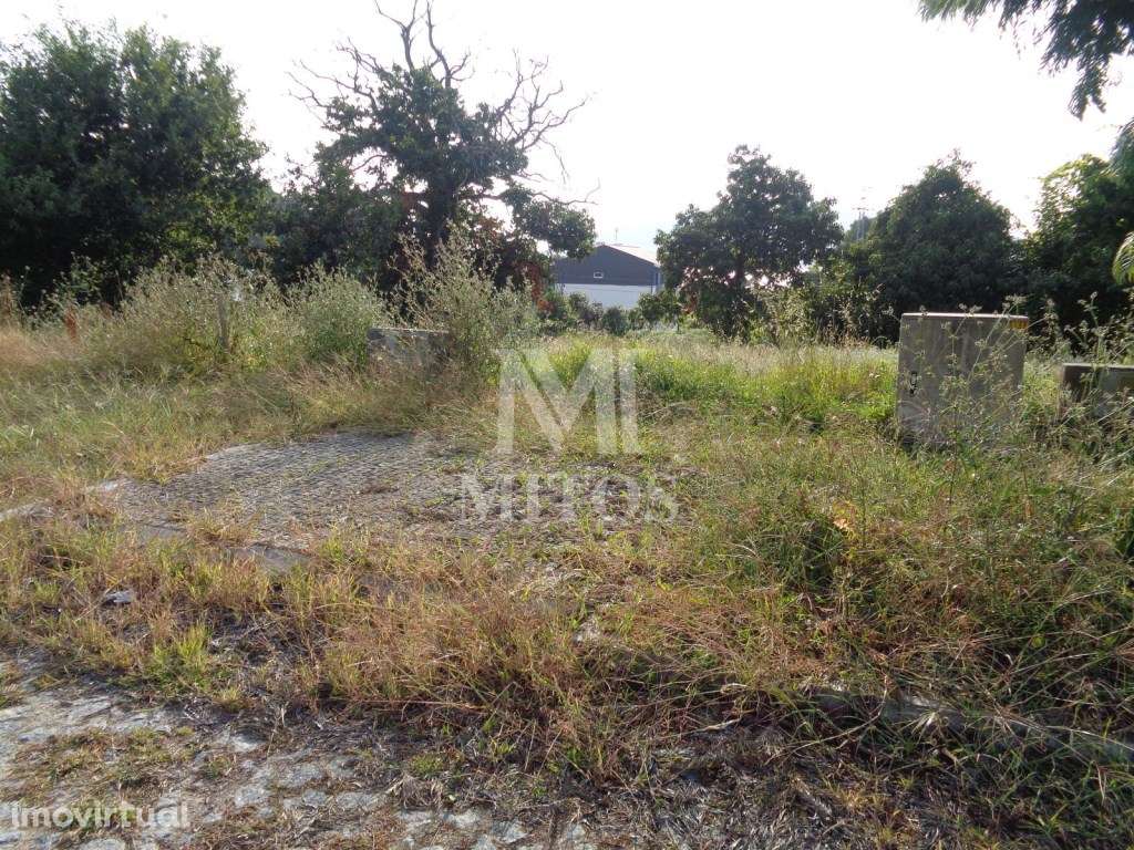 Lote p/ construção - Seixas - Grande imagem: 2/5