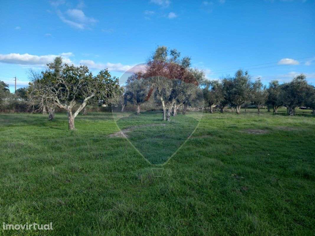 Terreno  para venda - Grande imagem: 5/6