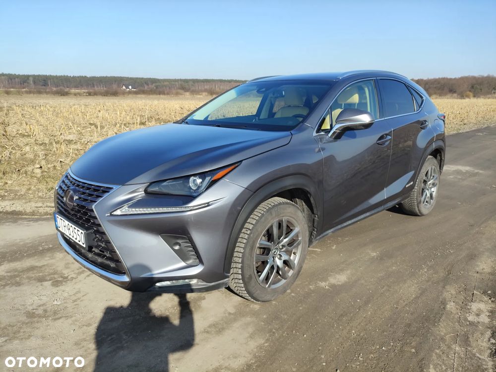 Lexus NX 300h Comfort AWD - 1